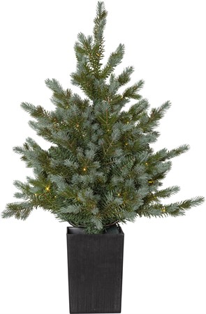 Julgran i kruka med 80 LED-lampor