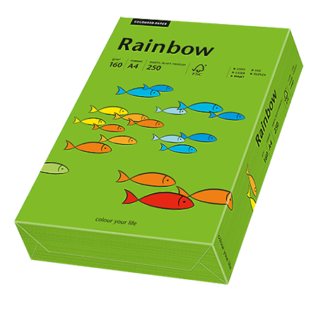 Färgat papper Rainbow A4 160 g intensivgrön 250/fp
