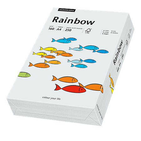 Färgat papper Rainbow A4 160 g ljusgrå 250/fp