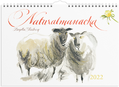 Väggkalender 2022 Naturalmanacka