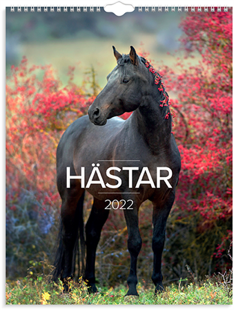 Väggkalender 2022 Stora Hästkalendern